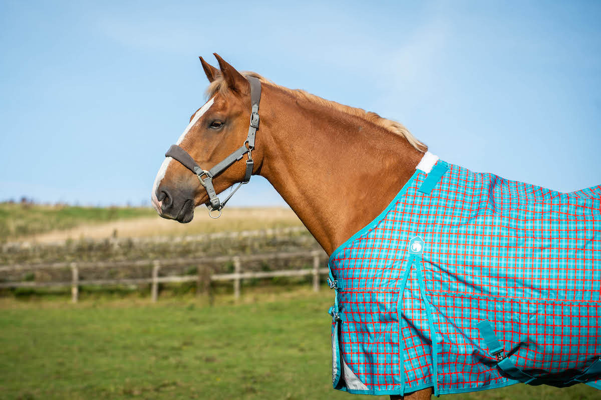 Epic Classic No Fill Turnout Rug  -  Broad Fit