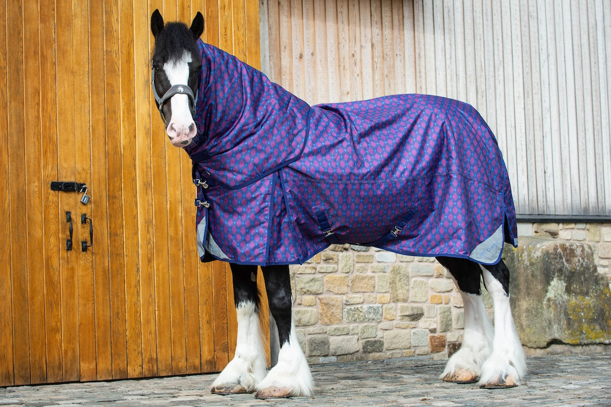 Arriving 3 January - Epic Classic 200g Combo Turnout Rug - Broad Fit