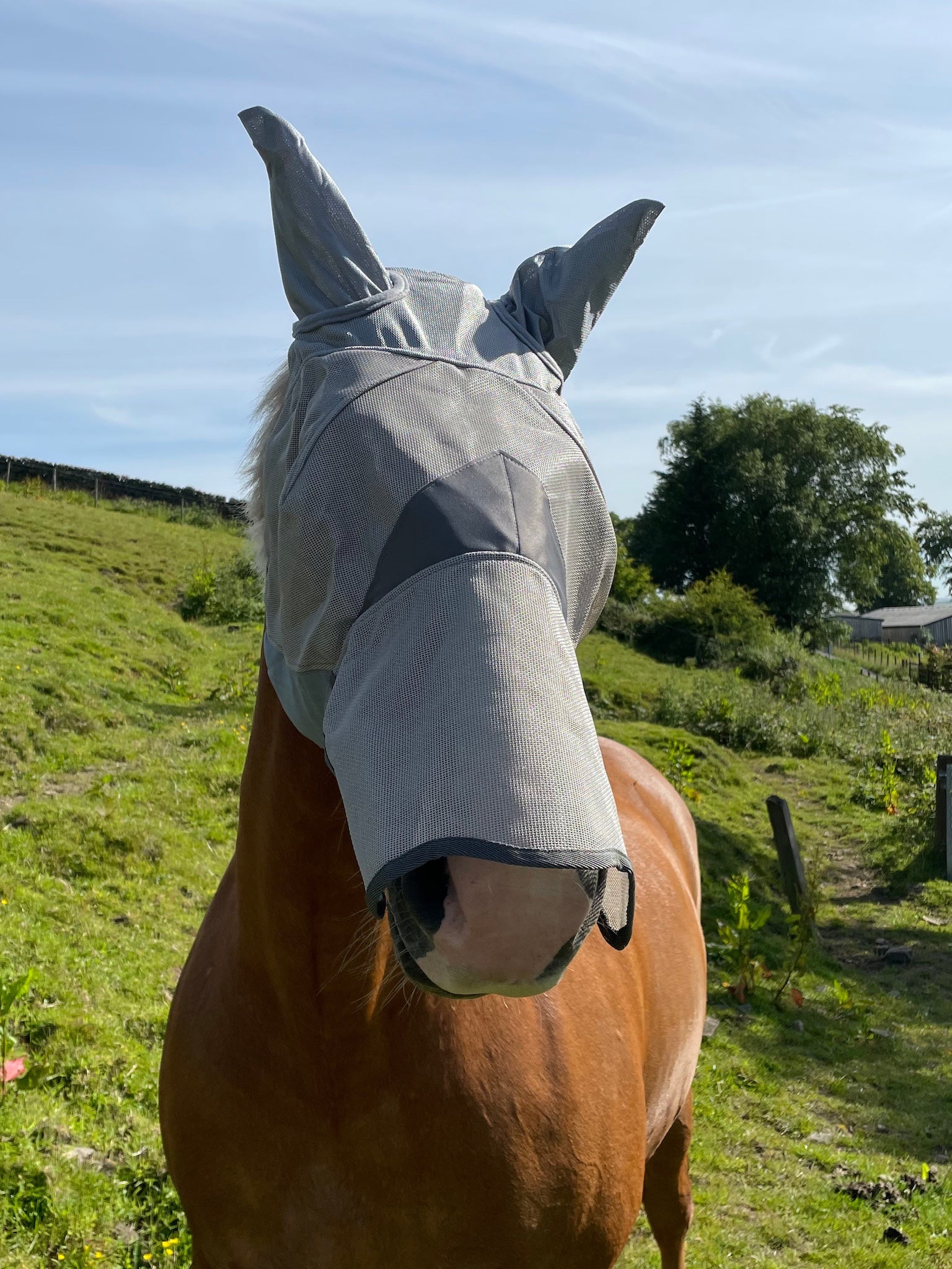 Epic Classic PVC Fly Mask