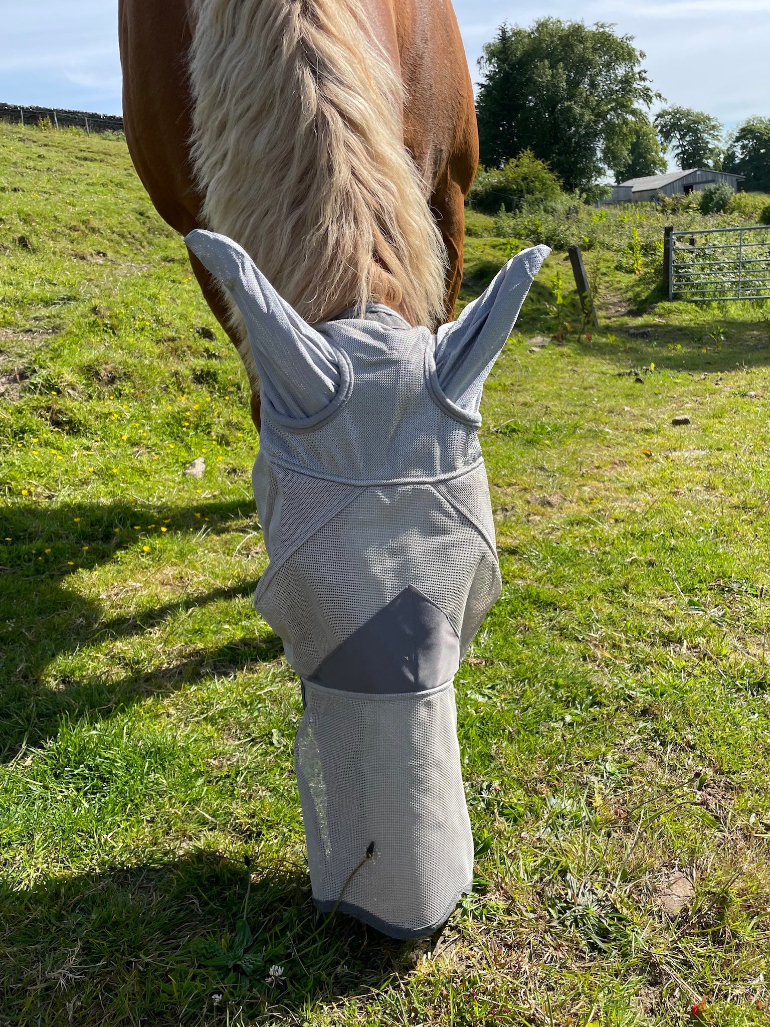 Epic Classic PVC Fly Mask