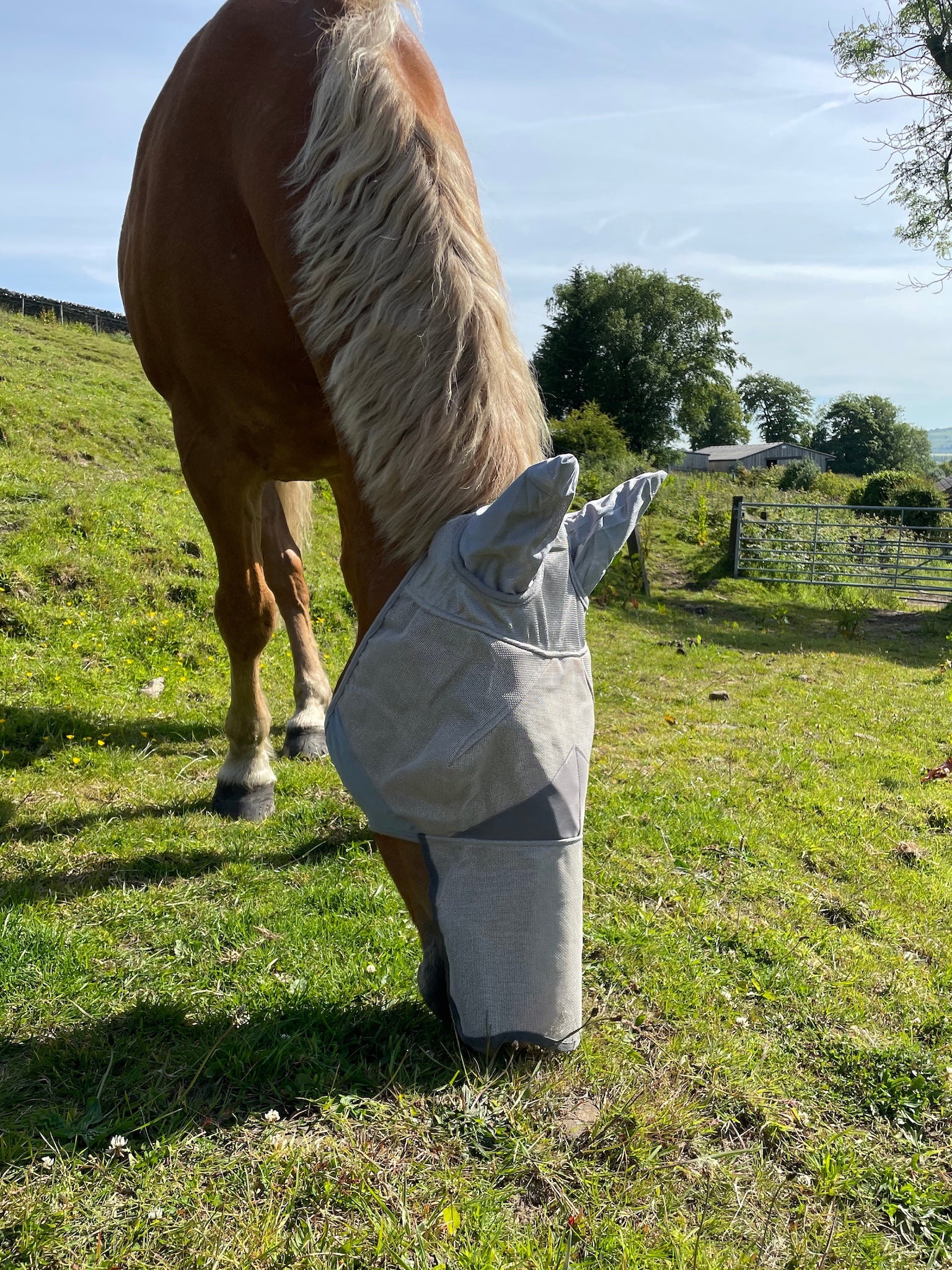 Epic Classic PVC Fly Mask