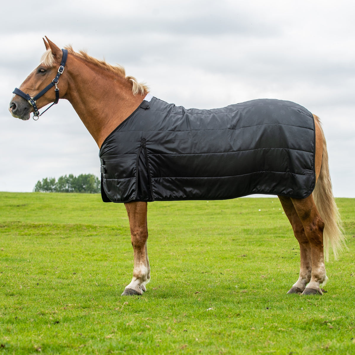High Quality Heavy Horse Rugs Designed to fit, Made to last