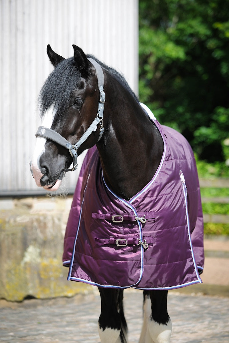 Epic Classic 100g Stable Rug - Broad Fit