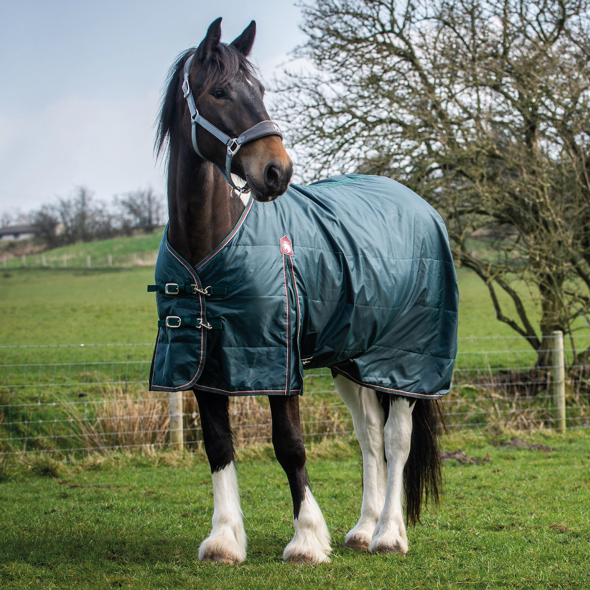 Heavy horse rugs & heavy horse boots