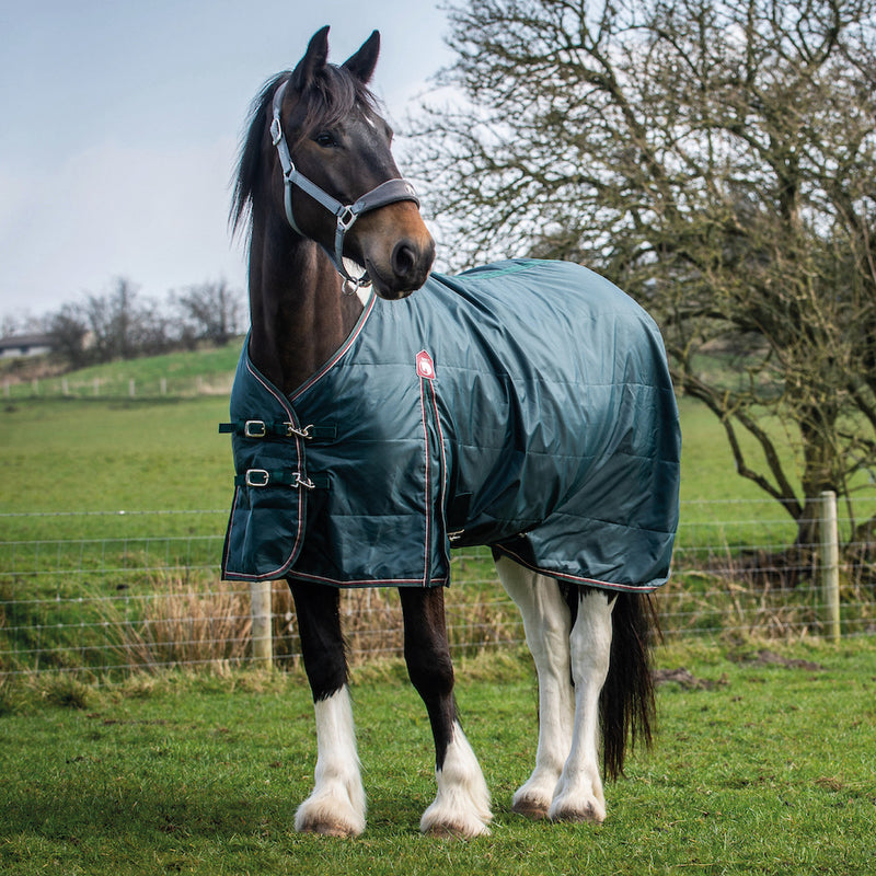 Heavy horse rugs & heavy horse boots