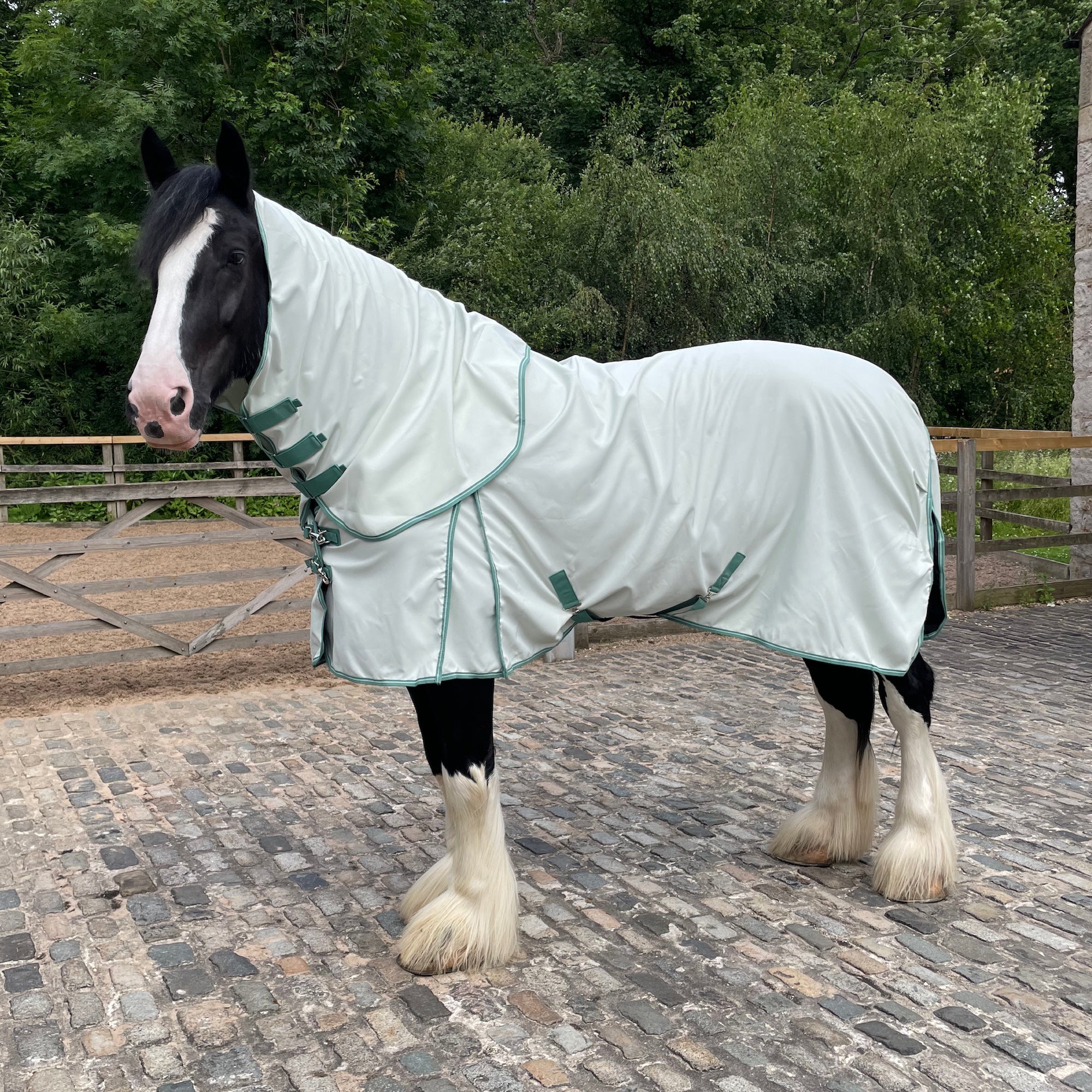 A black and white draft horse wearing a pale mint green horse blanket with matching trim, standing on a cobblestone surface with a wooden fence and green trees in the background.