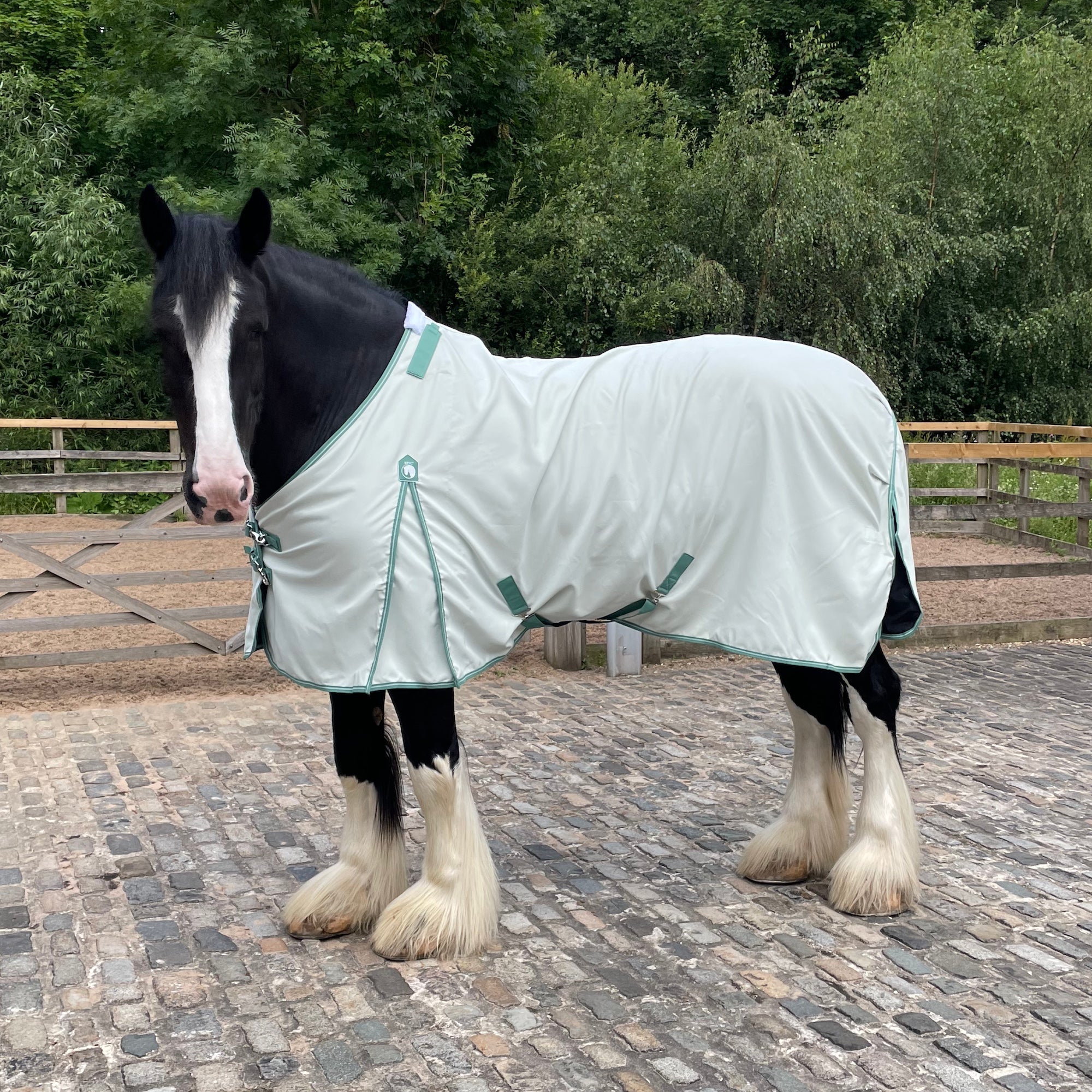 A black and white horse standing on a cobblestone surface wearing a pale mint green turnout blanket with matching trim, with trees and a fence in the background.