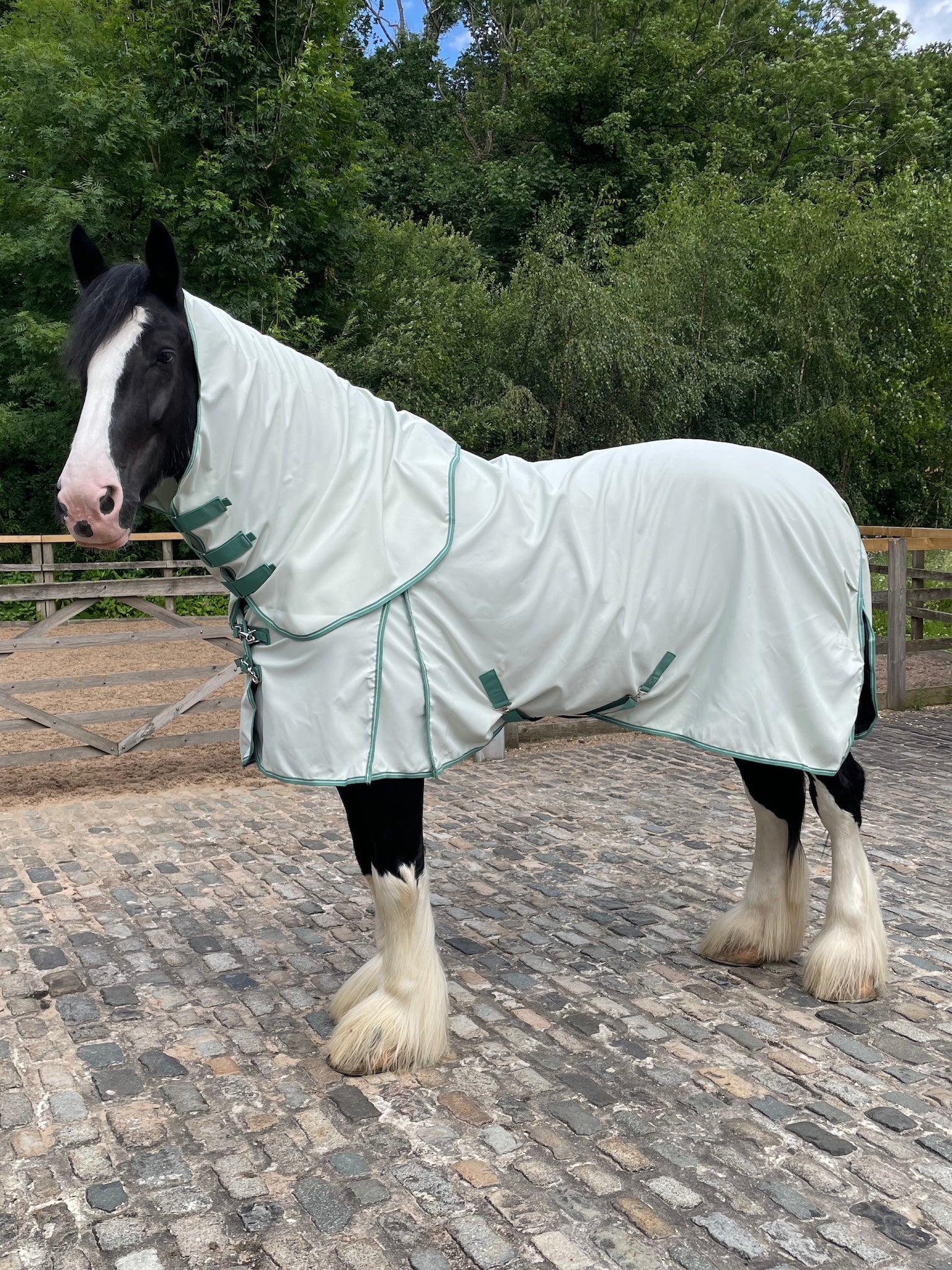 Epic Classic Summer Sheet with Neck Cover - Broad Fit