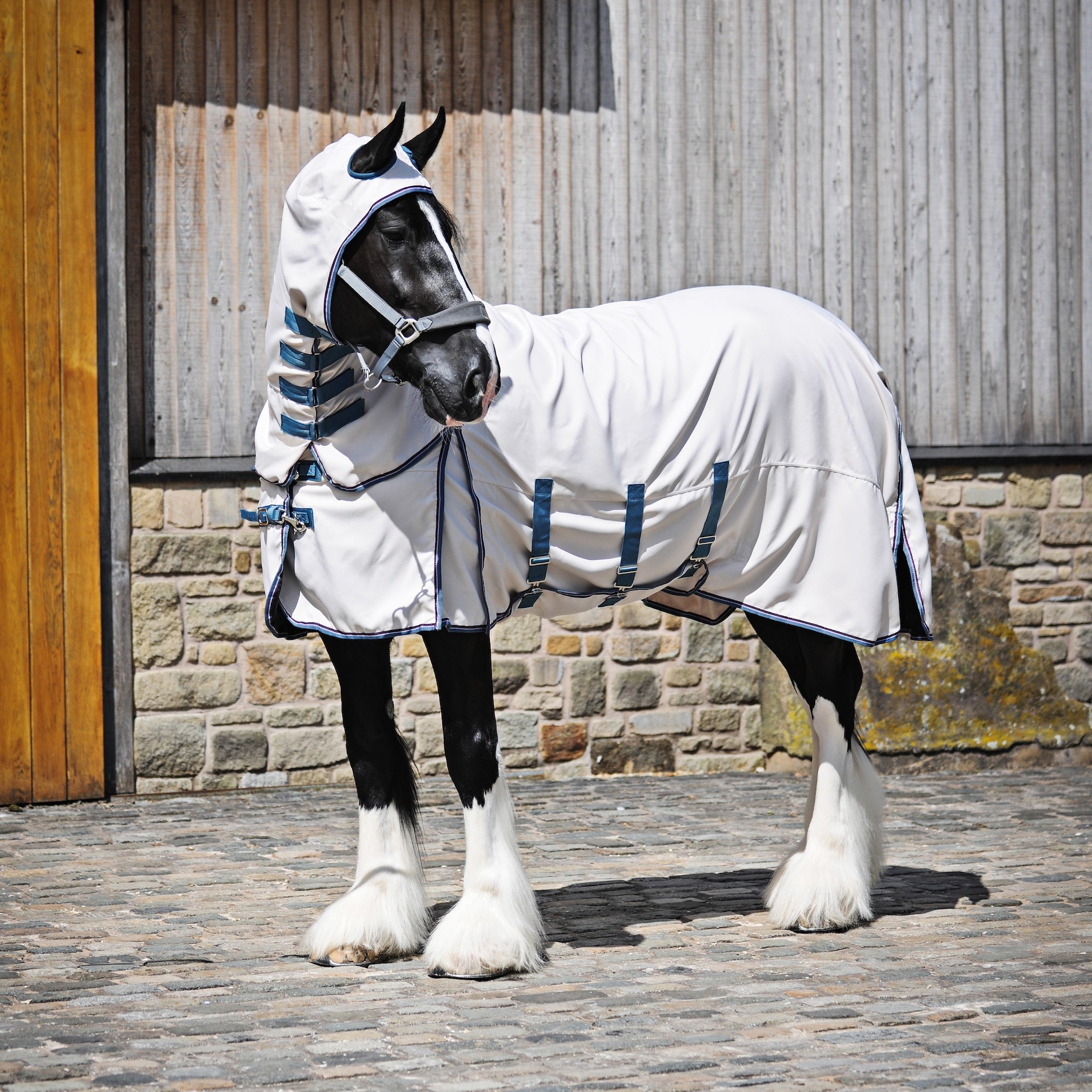 A black and white horse wearing a white horse fly blanket with blue trim and matching leg bands, standing on a cobblestone surface in front of a rustic wooden and stone wall.