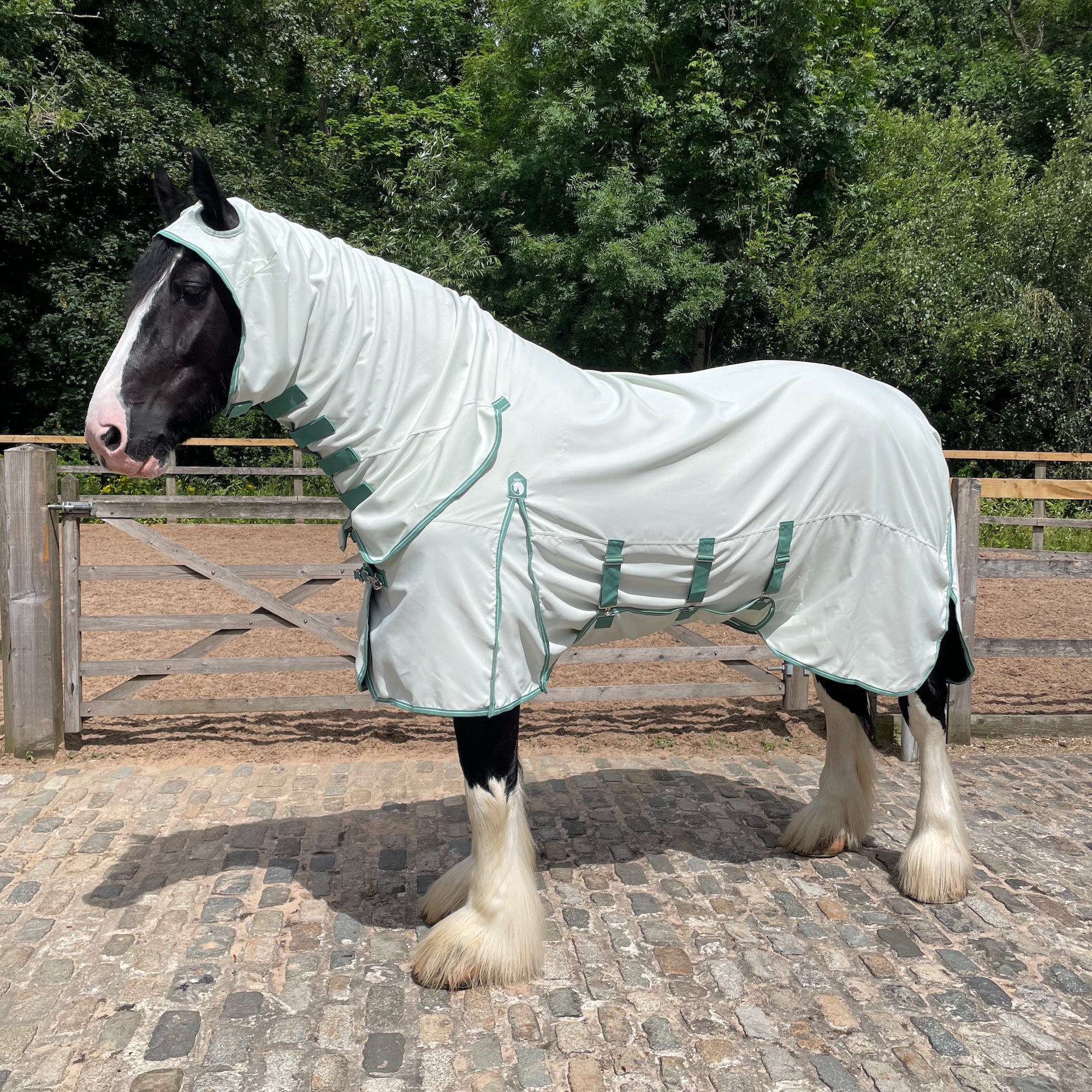 A black and white draft horse wearing a pale mint green fly blanket with matching green trim, standing on a cobblestone surface with a wooden fence and green trees in the background.