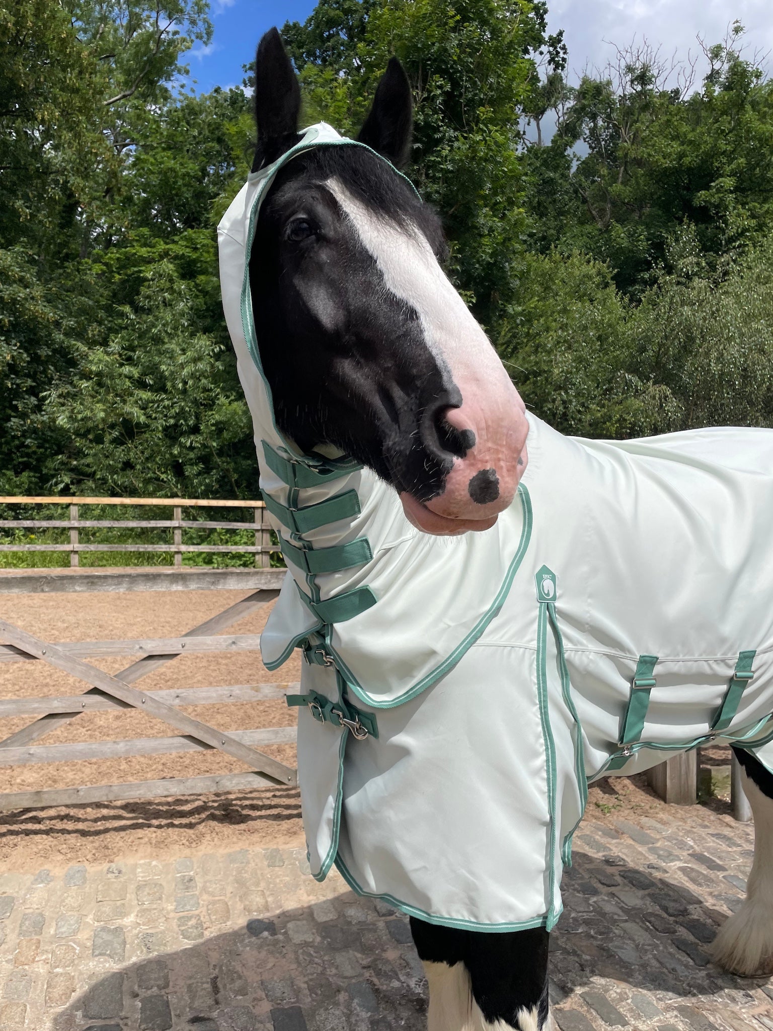 Epic Classic Sweet Itch Rug - Broad Fit