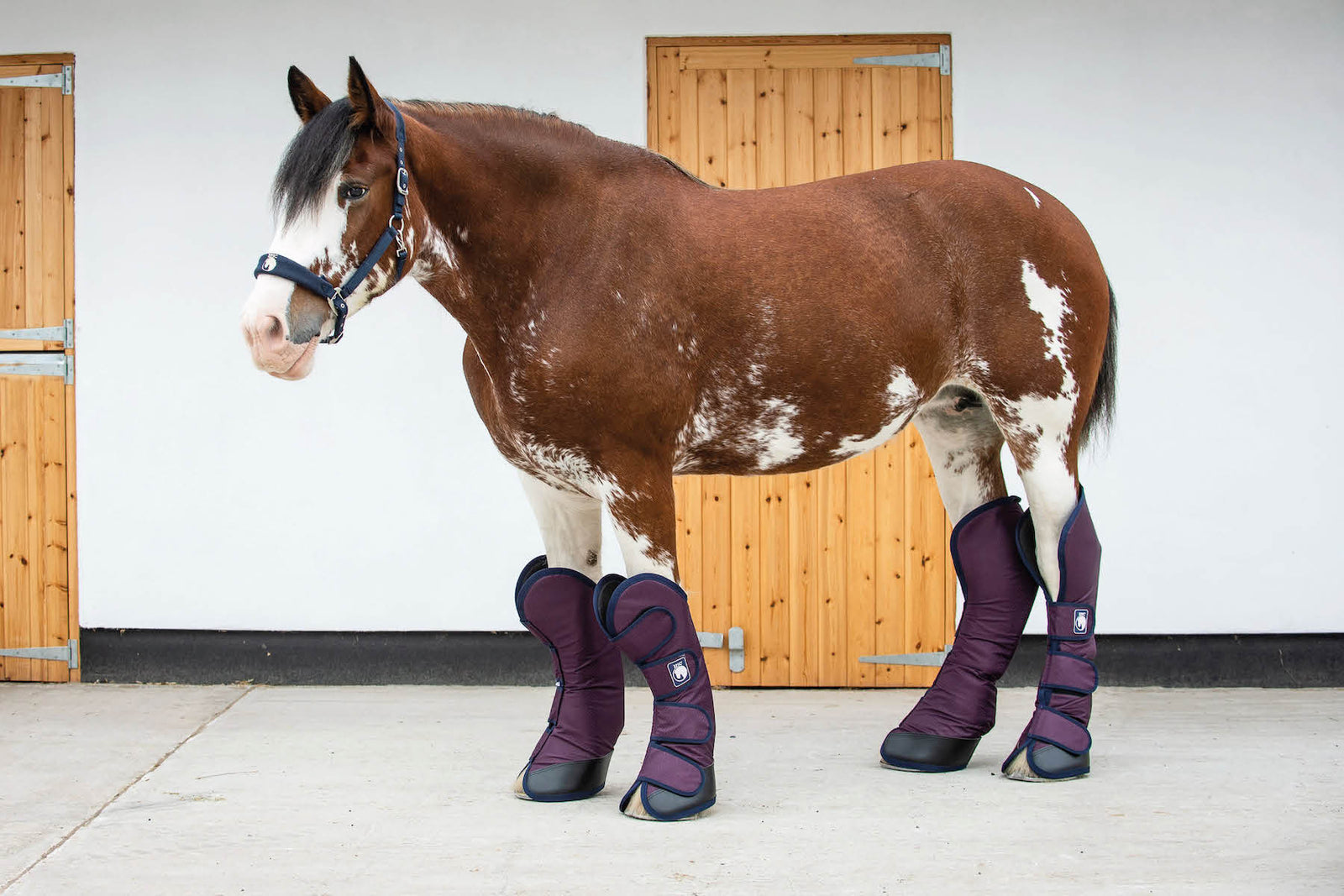 Heavy horse rugs & heavy horse boots