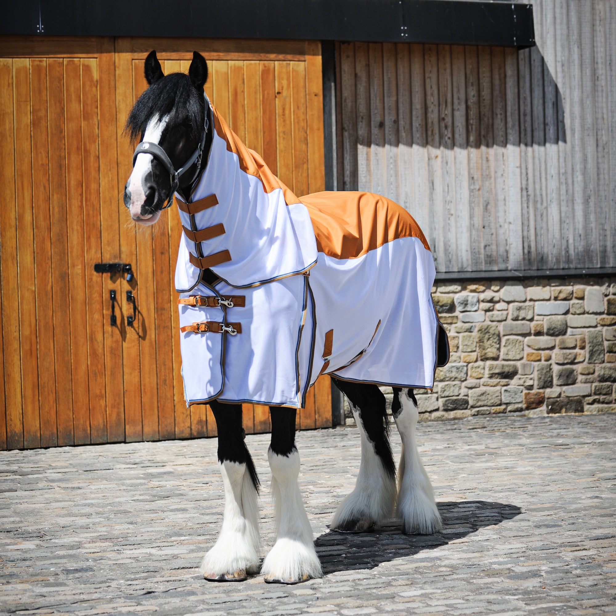 A black and white horse wearing a white and orange waterproof fly horse blanket with brown straps, standing on a cobblestone surface in front of a wooden barn door.