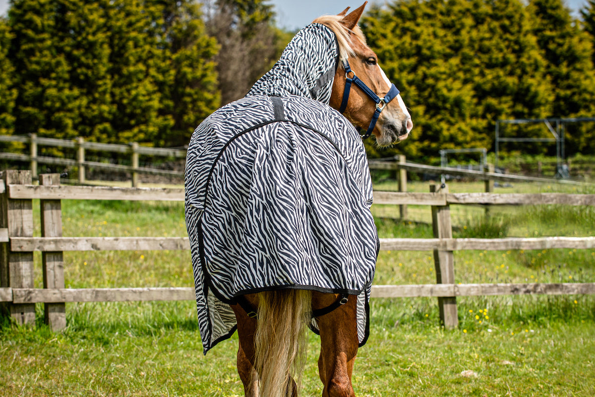 Epic Classic Zebra Fly Rug - Broad Fit