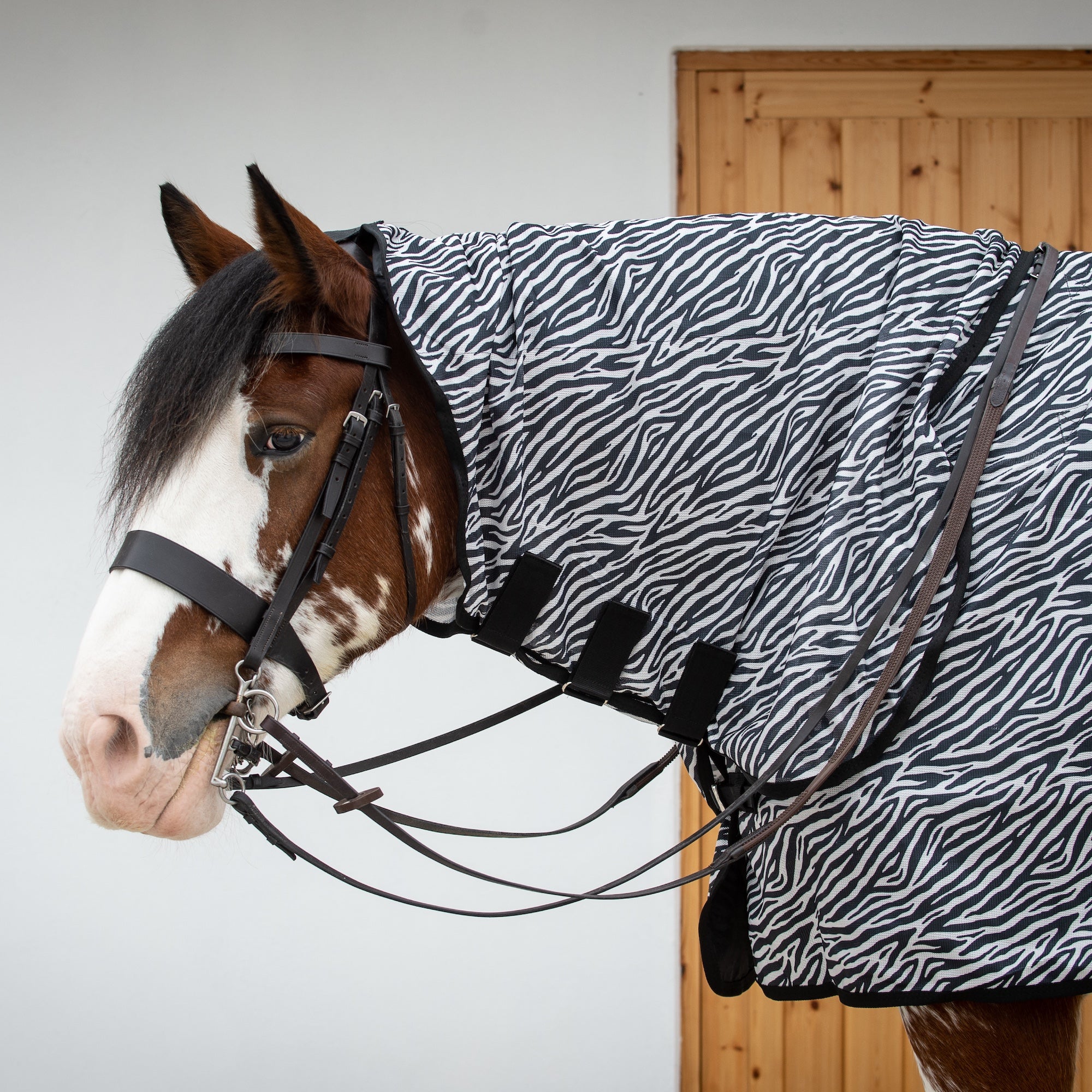A brown and white horse wearing a black and white zebra-patterned horse ride-on fly blanket and matching bridle, standing indoors against a light gray wall and wooden door.