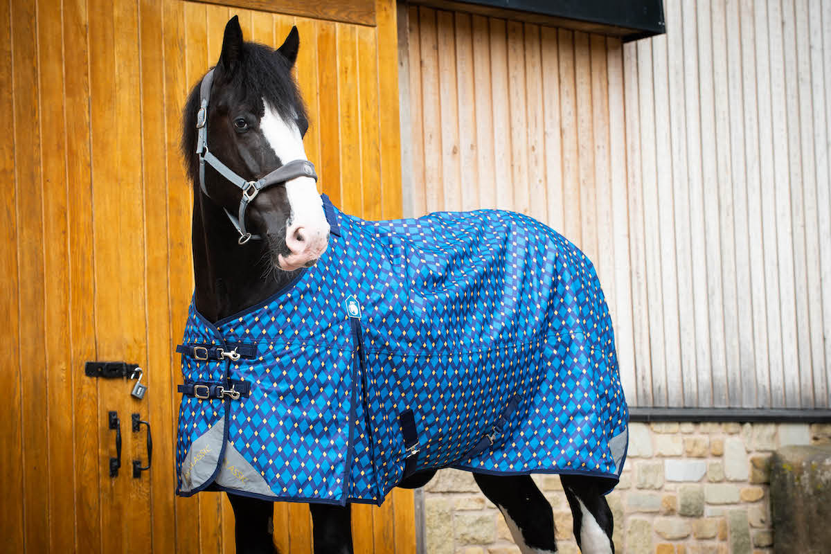 Arriving 3 January - Epic Classic 100g Turnout Rug - Broad Fit