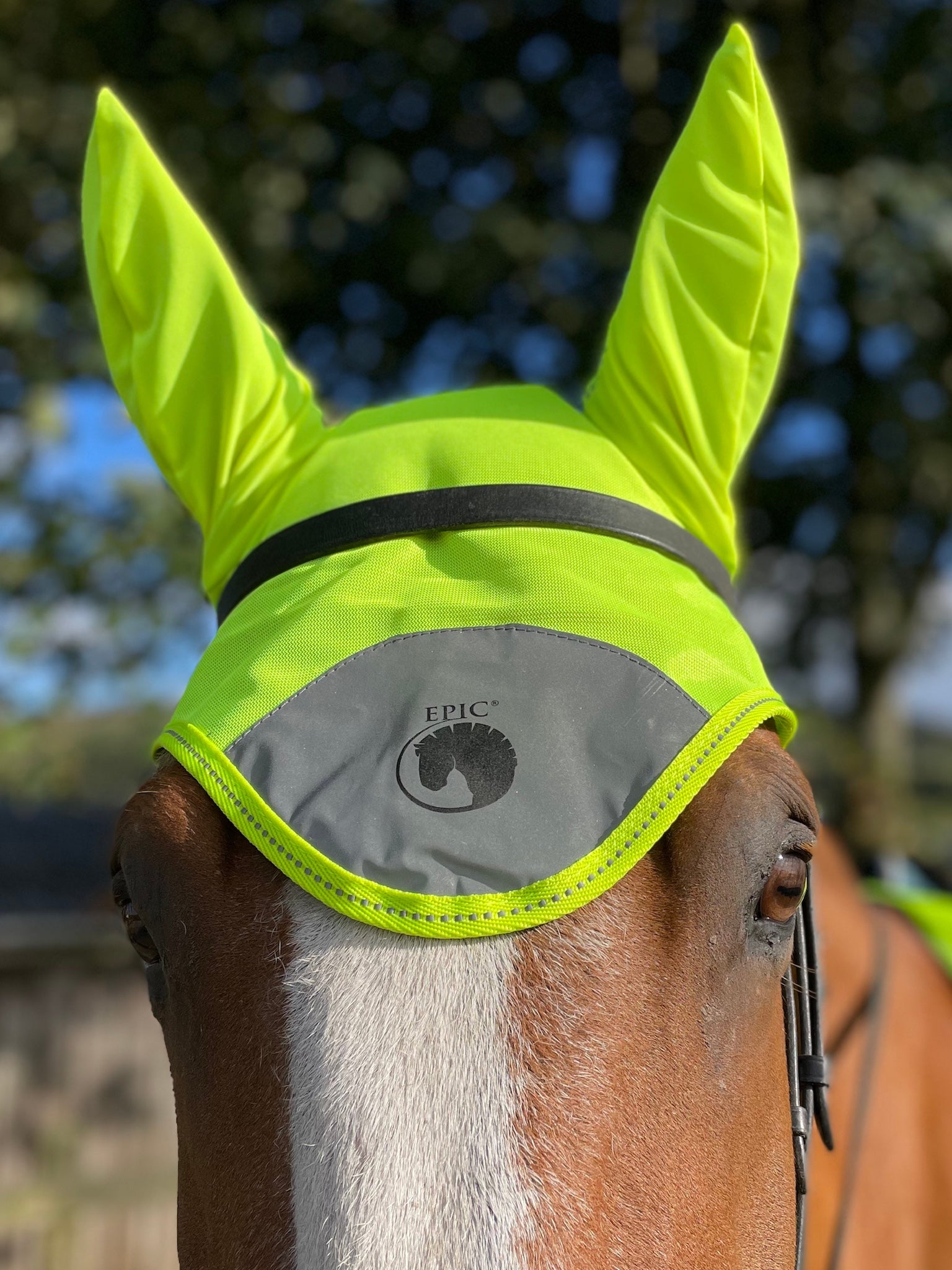 Epic Classic Fly Veil