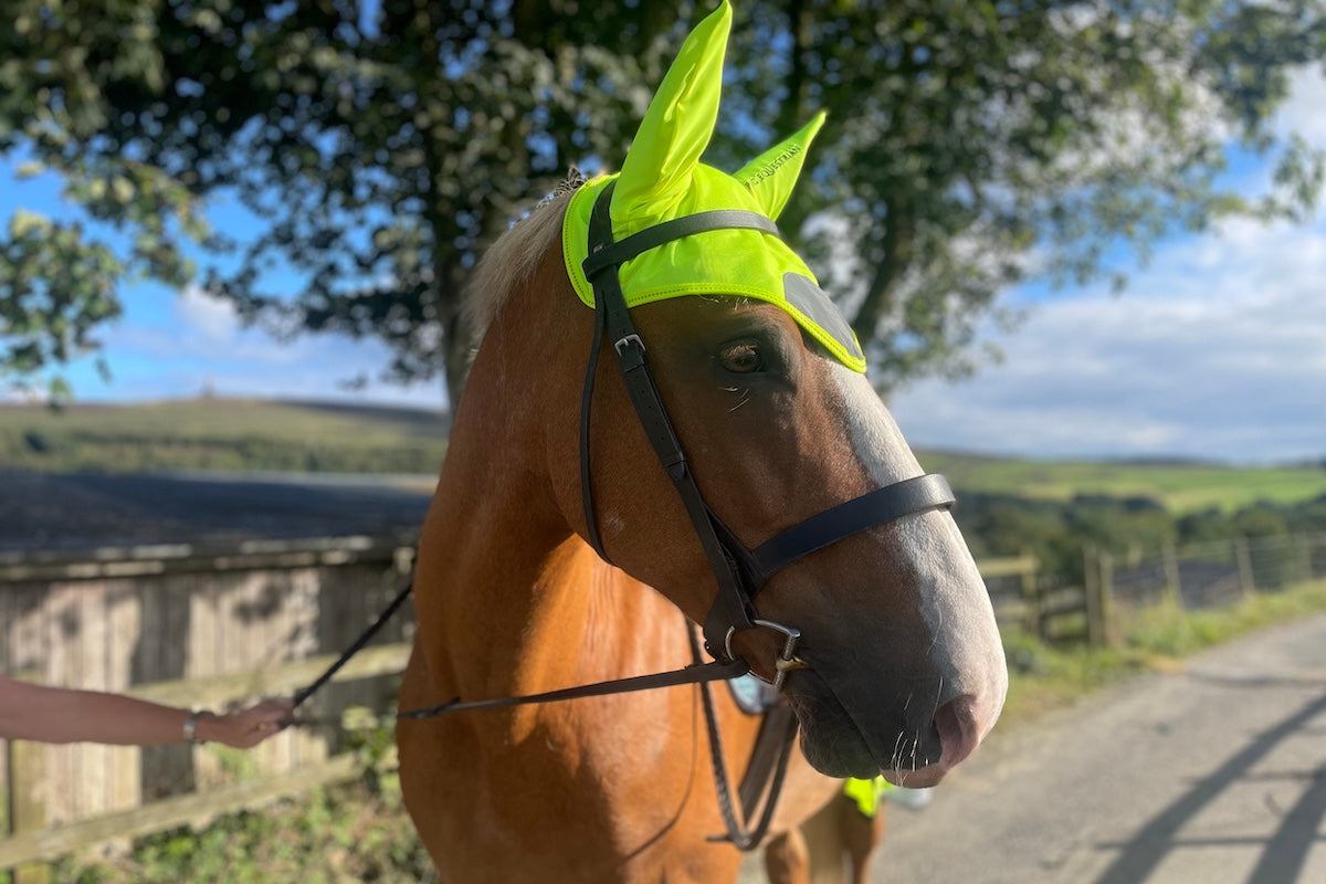 Epic Classic Fly Veil