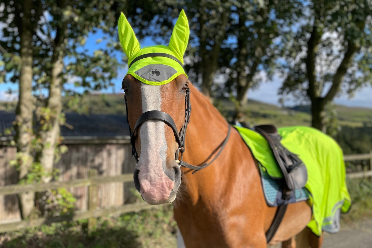 Epic Classic Fly Veil