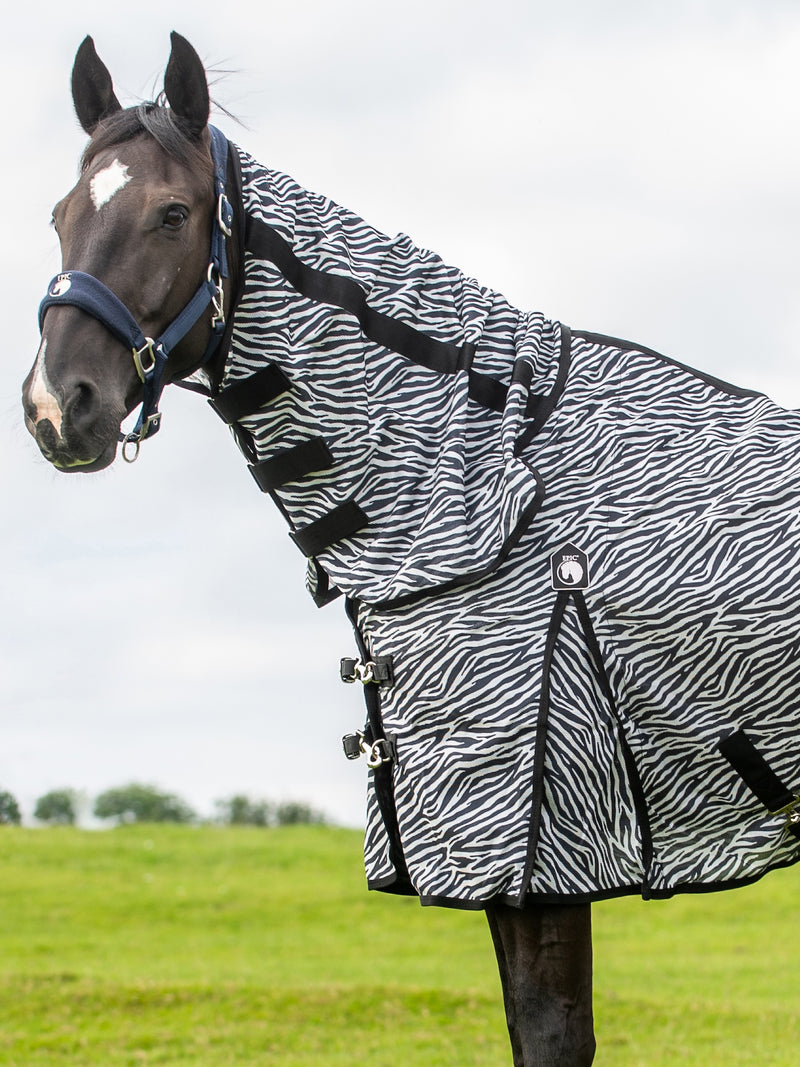 Fly Rug Use Best Fitting Fly Rugs for All Horse Builds | The Big Horse Shop