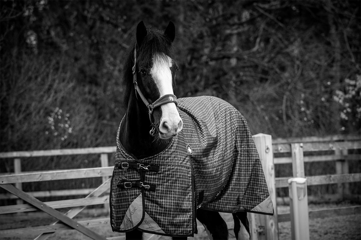 Epic Classic 100g Turnout Rug - Broad Fit