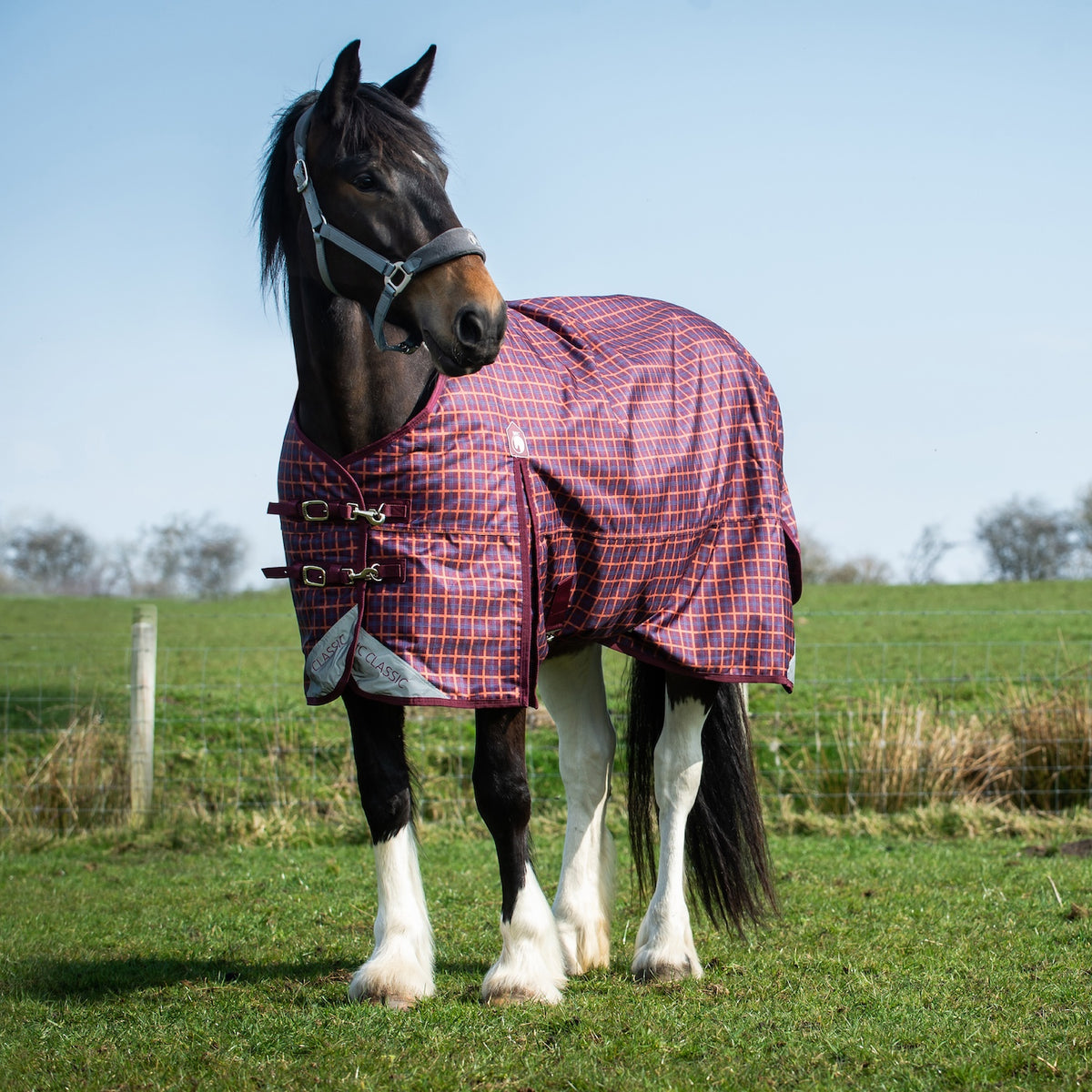 High Quality Heavy Horse Rugs Designed to fit, Made to last