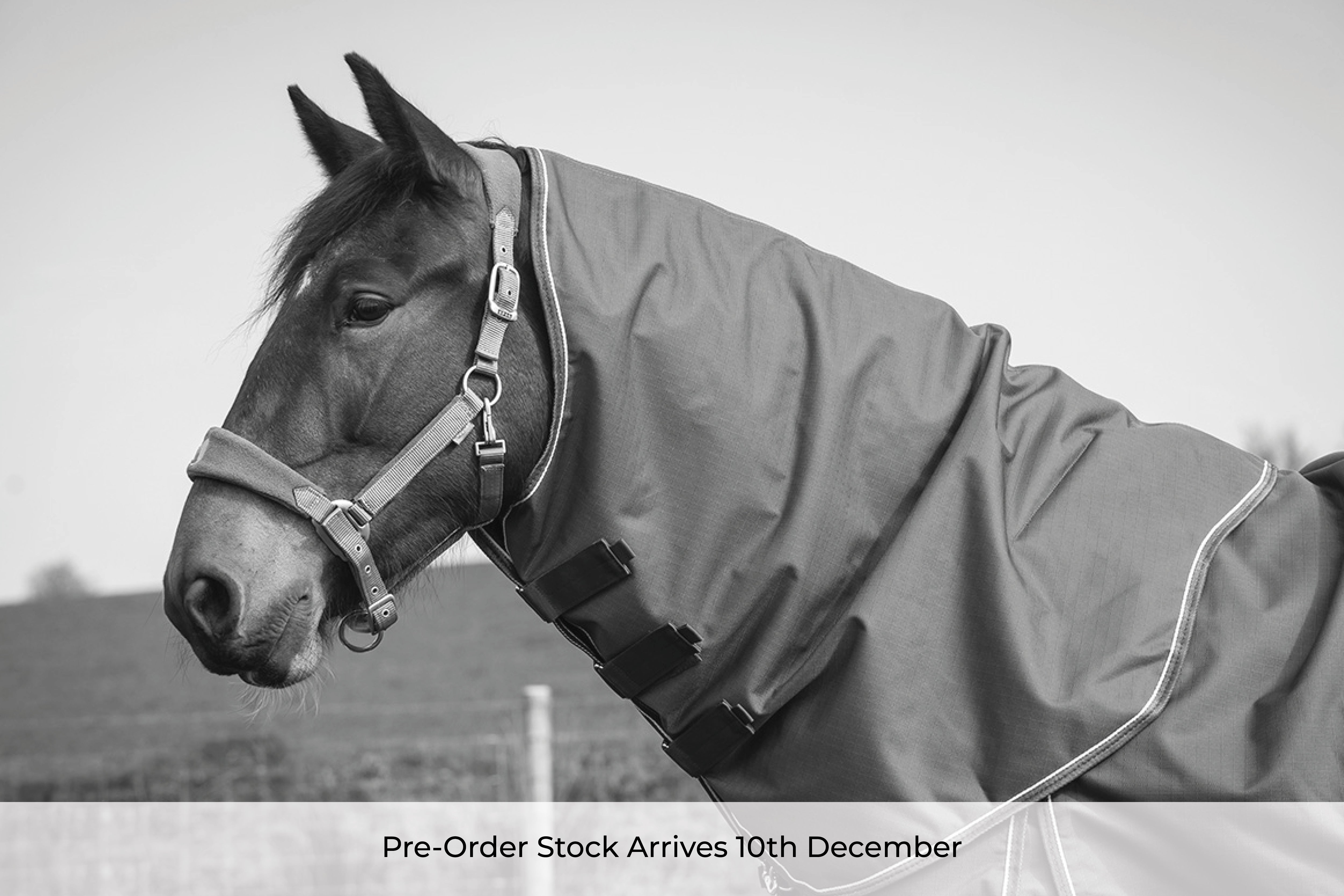 Pre-Order Epic Essential 200g Turnout Hood - Regular Fit