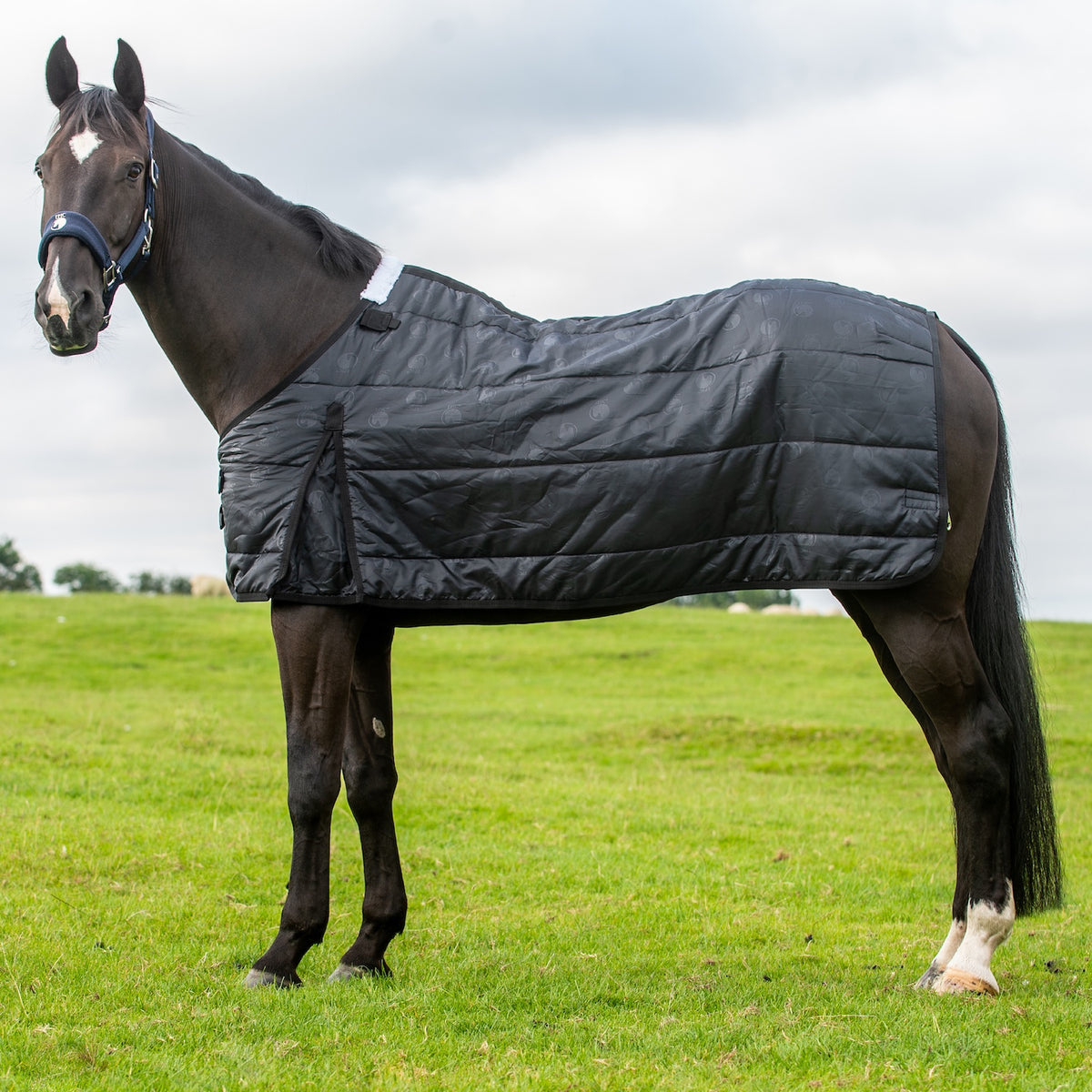 Epic Equestrian | Made to Fit, Built to Last