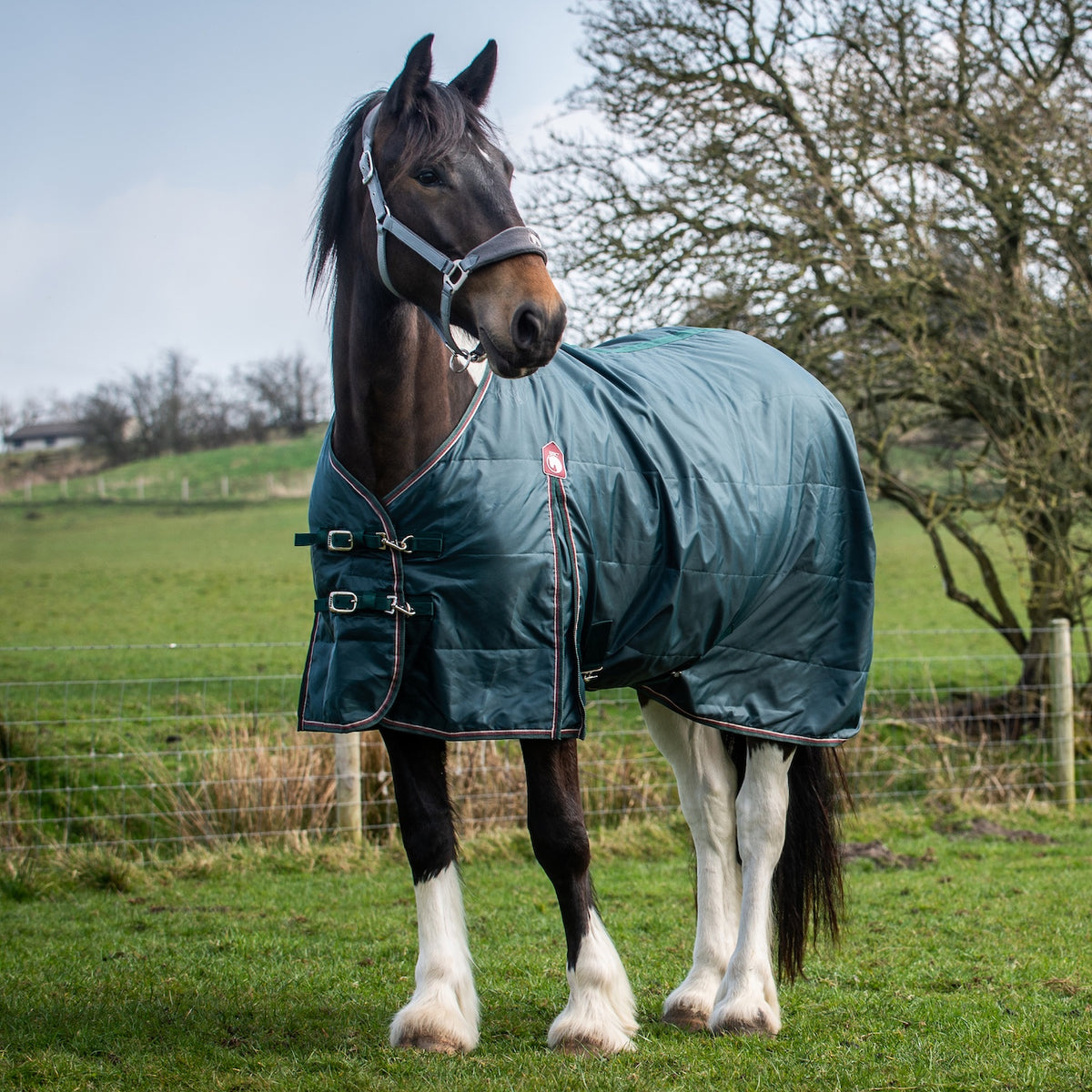 Epic Equestrian | Made to Fit, Built to Last