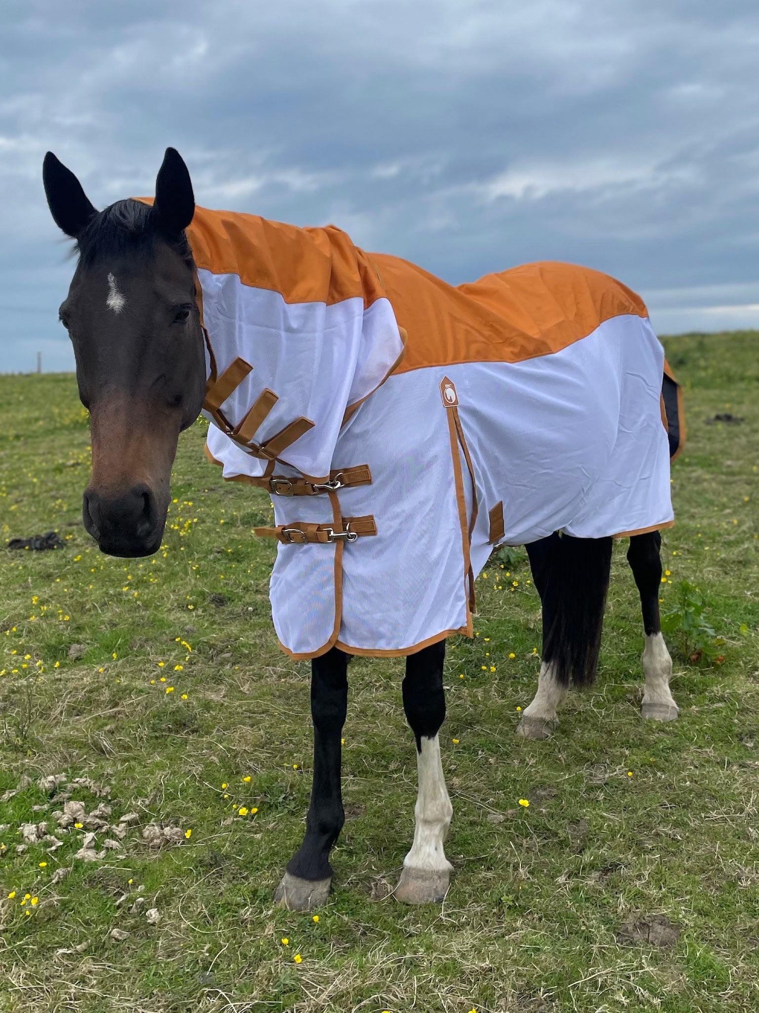 Epic Classic Dri-Fly Rug - Regular Fit