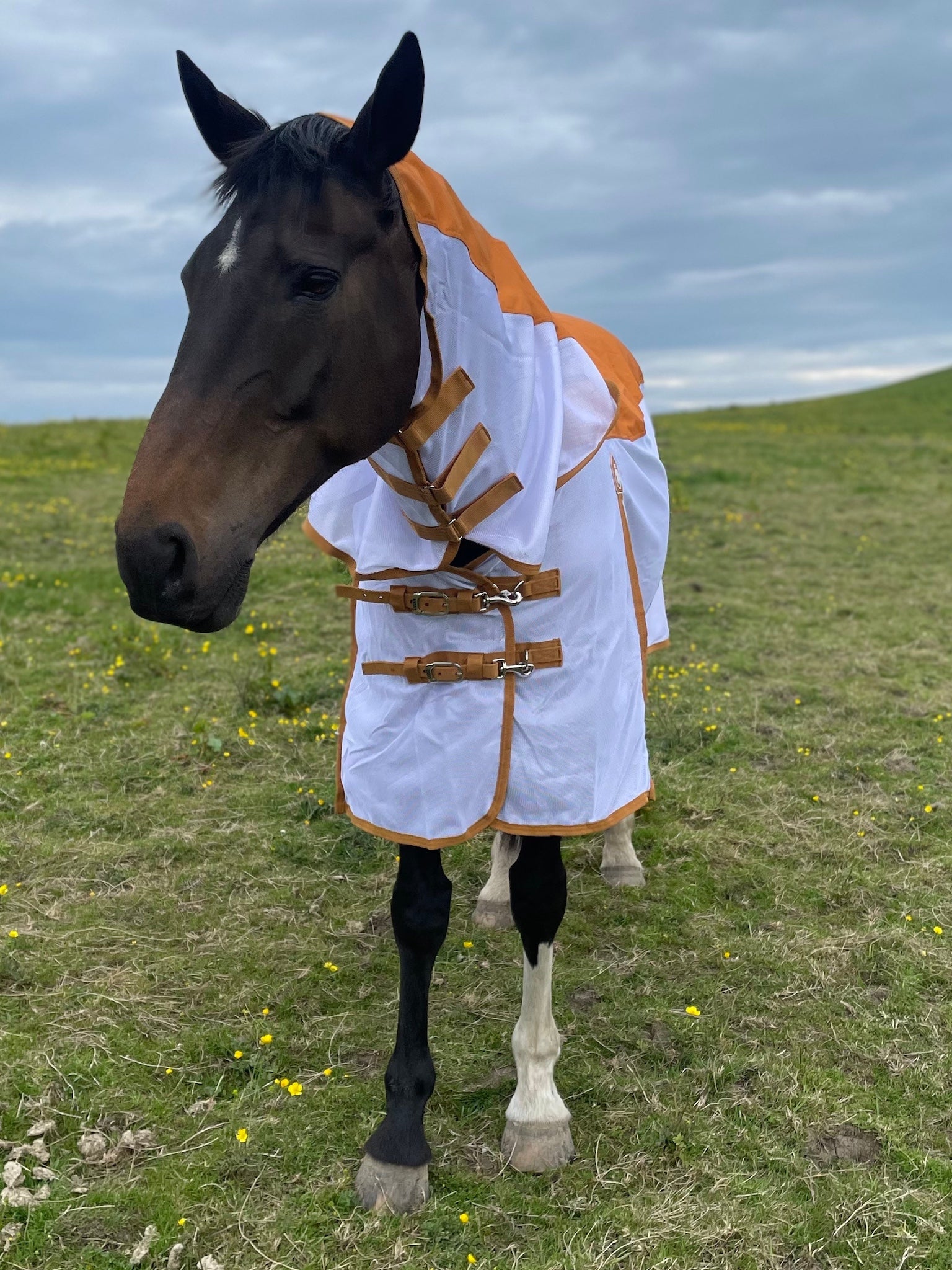 Epic Classic Dri-Fly Rug - Regular Fit