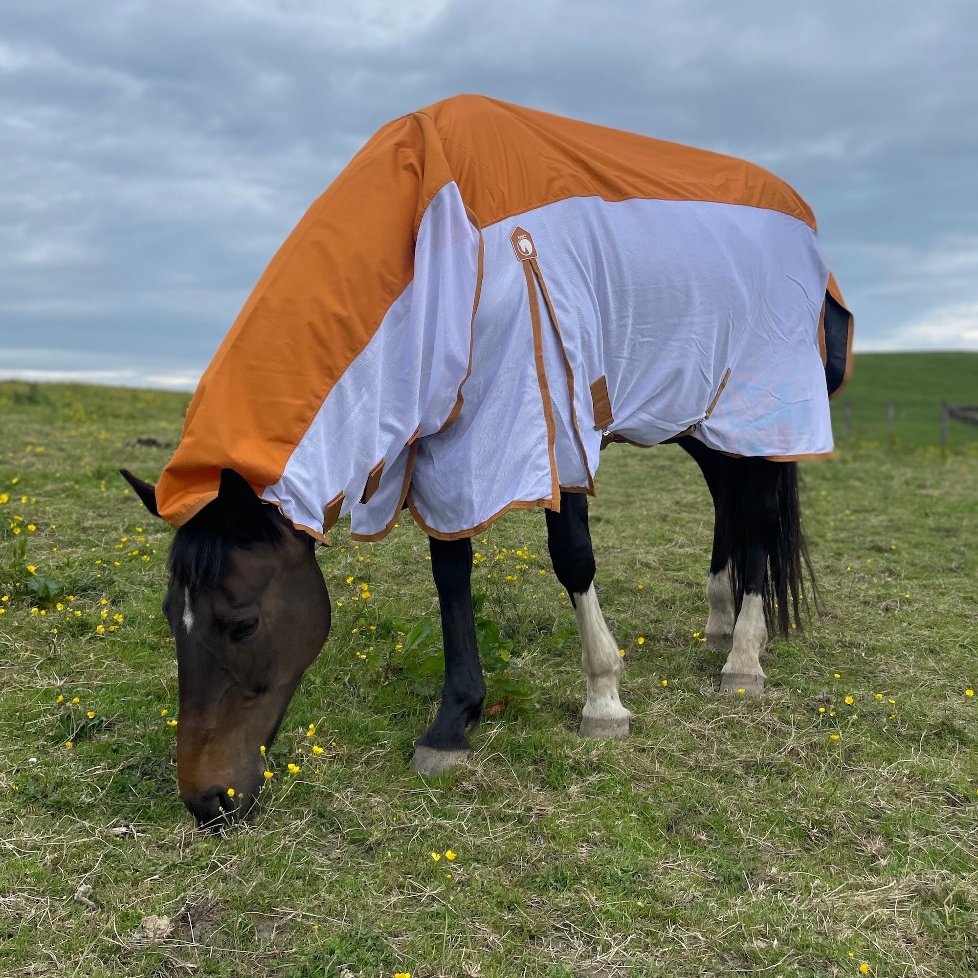 A horse standing in a grassy field under a cloudy sky, wearing a waterproof fly rug with an orange top section and a white lower section.