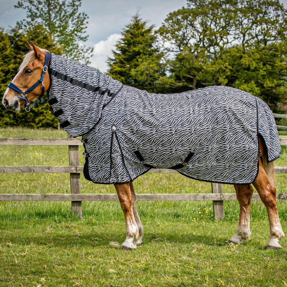 Horse Fly Rugs | Mesh, Zebra & Waterproof | The Big Horse Shop