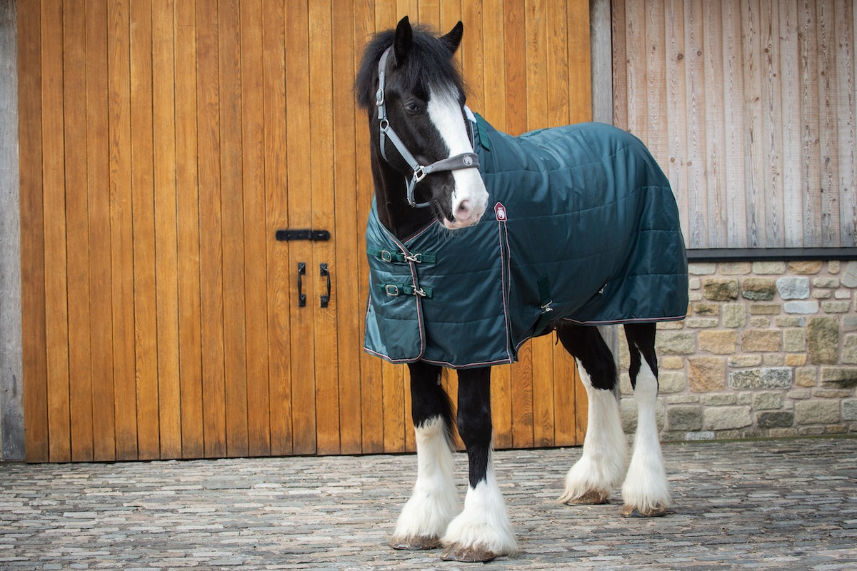 Epic Essential 50g Stable Rug - Broad Fit