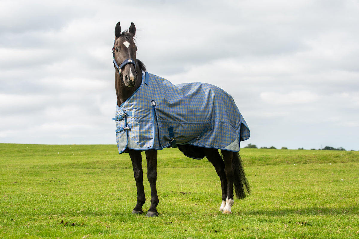 Epic Classic No Fill Turnout Rug  -  Regular Fit