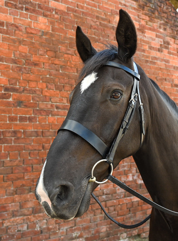 Epic Classic Hunter Bridle