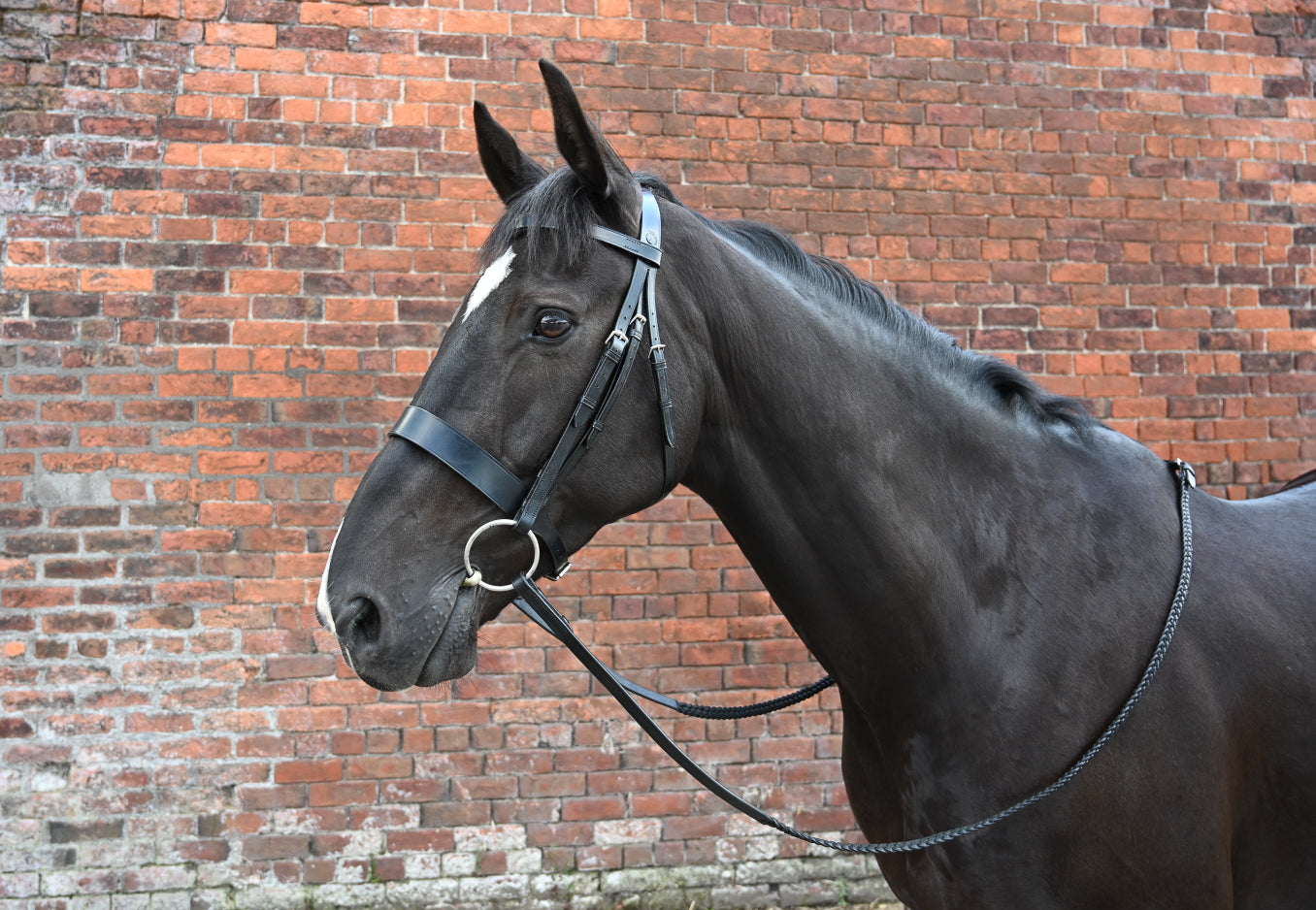 Epic Classic Hunter Bridle