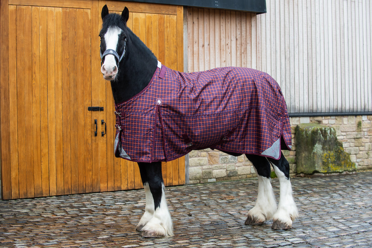 Epic Classic 200g Turnout Rug - Broad Fit