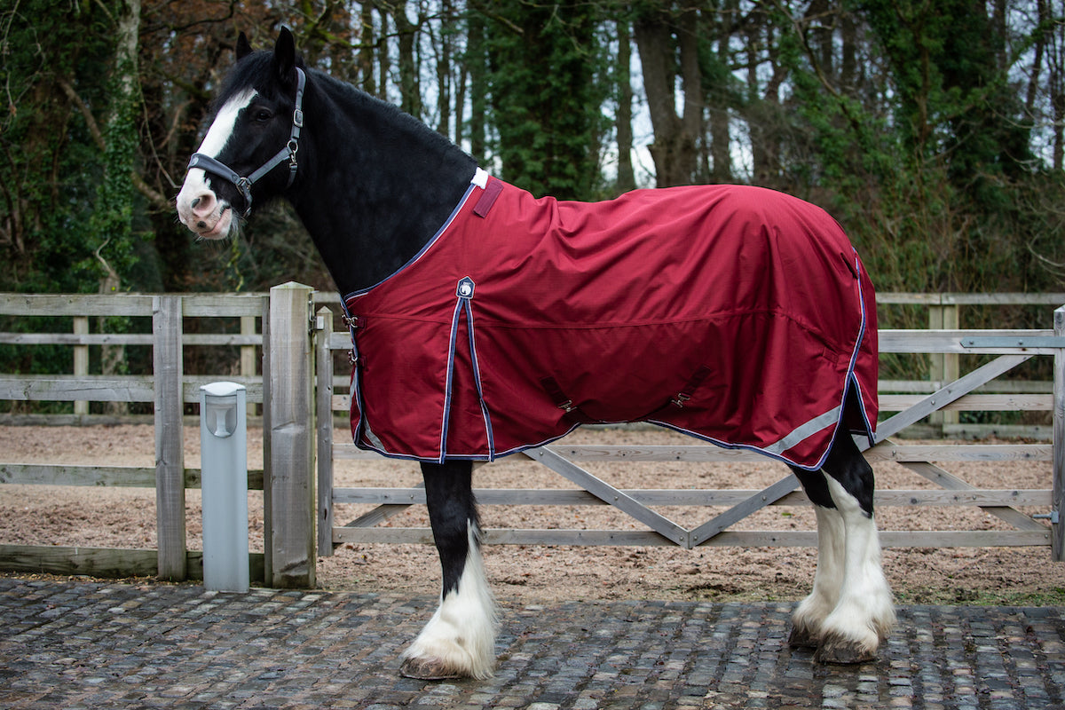 Epic Essential 100g Turnout Rug - Broad Fit