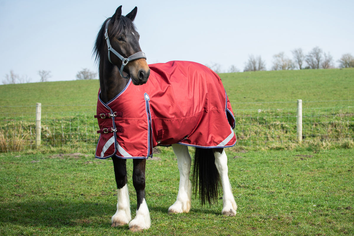 Epic Essential No Fill Turnout Rug  -  Regular Fit