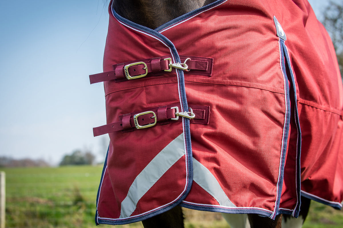 Epic Essential 100g Turnout Rug - Regular Fit