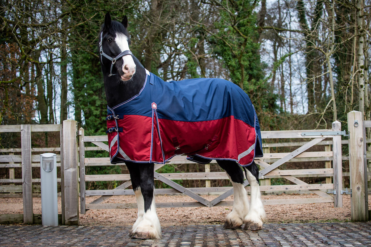 Epic Essential 200g Turnout Rug - Broad Fit