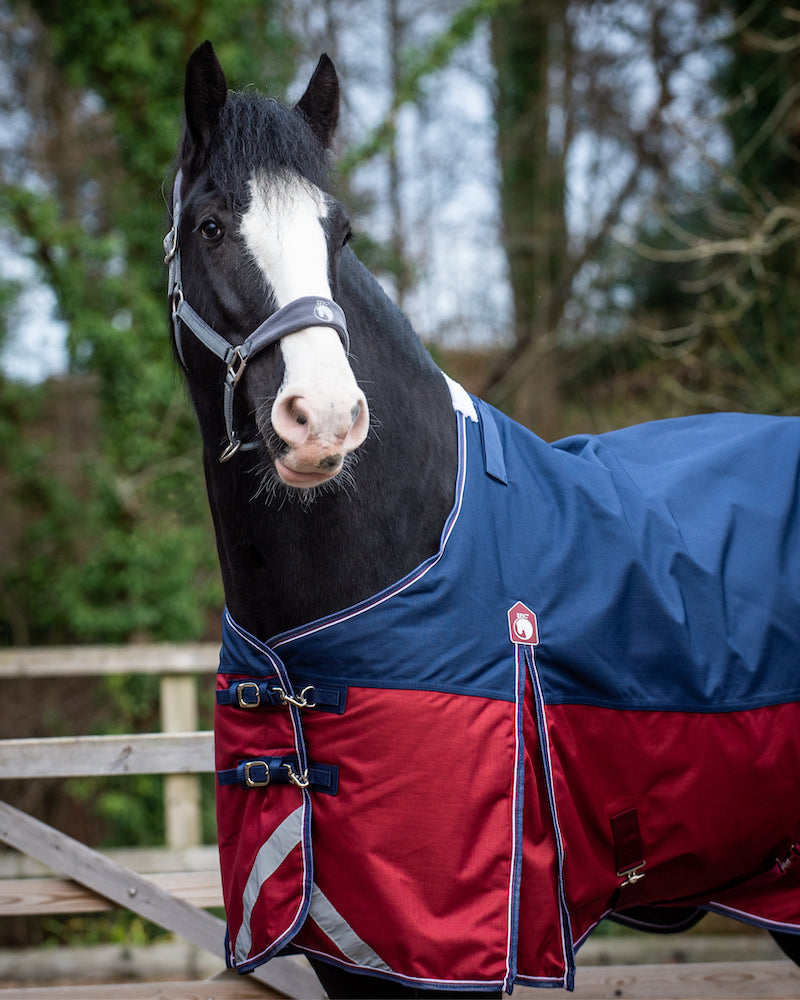 Epic Essential 200g Turnout Rug - Broad Fit