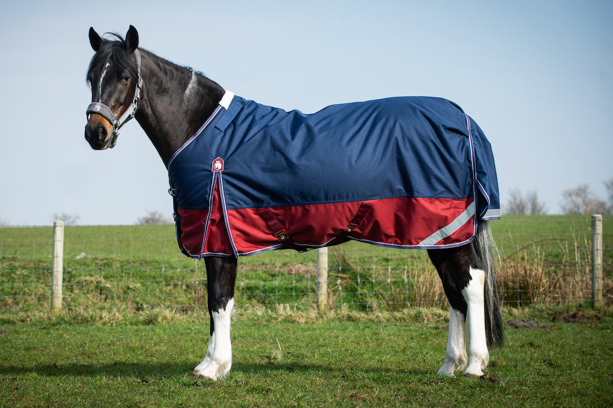 Epic Essential 200g Turnout Rug - Regular Fit