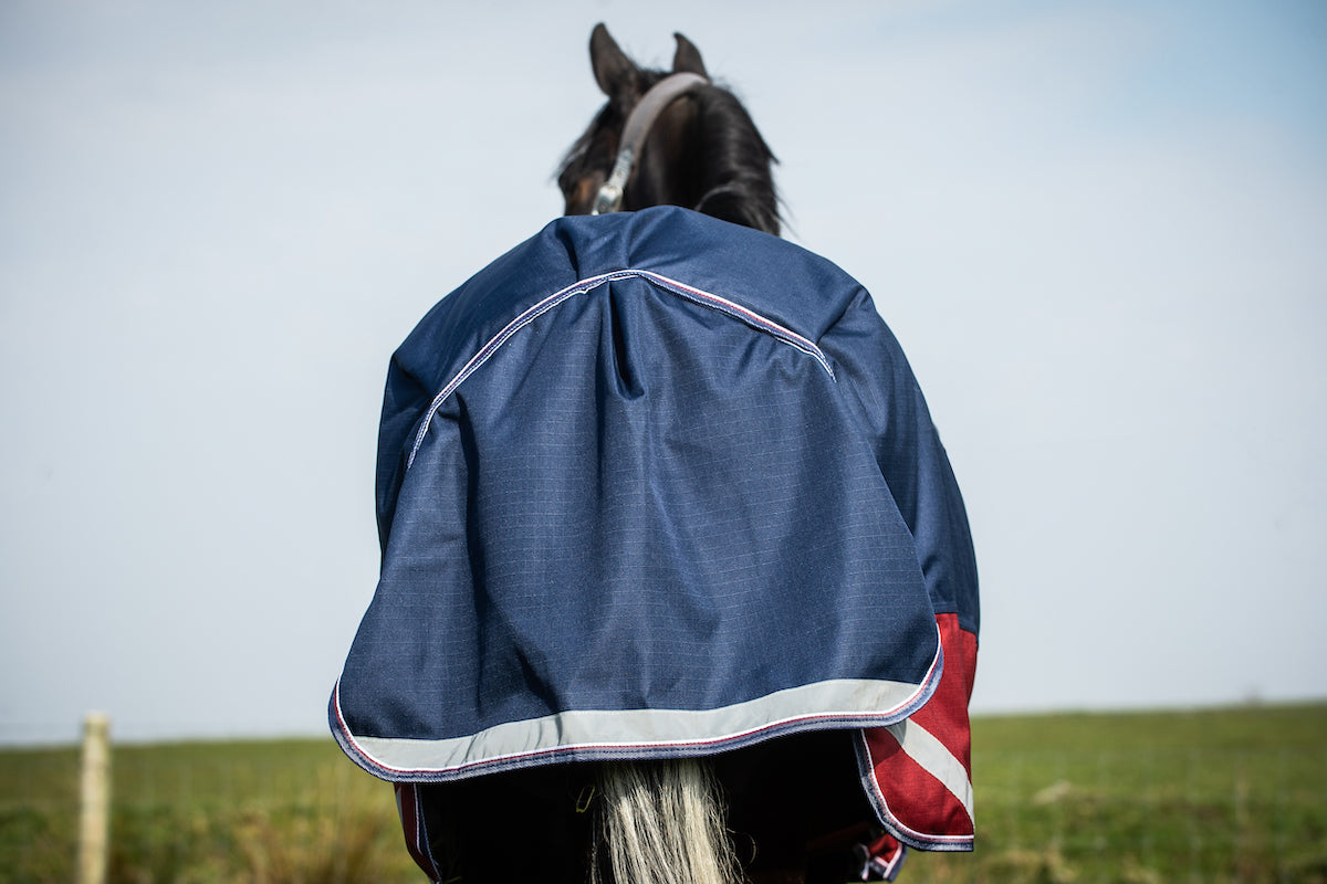 Epic Essential 200g Turnout Rug - Regular Fit