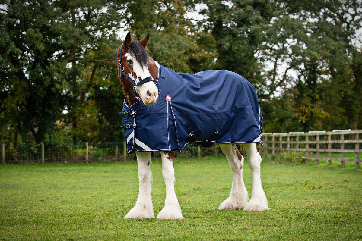 Epic Essential 300g Turnout Rug - Broad Fit