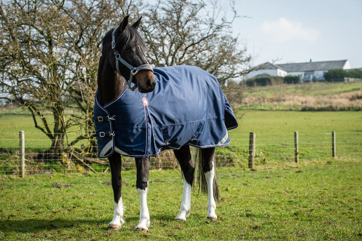 Epic Essential 300g Turnout Rug - Regular Fit