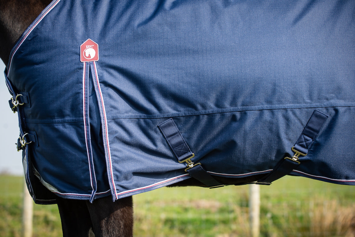 Epic Essential 300g Turnout Rug - Regular Fit