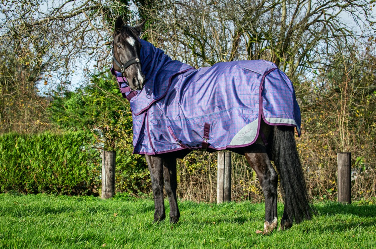 Epic Classic 100g Turnout Rug - Regular Fit