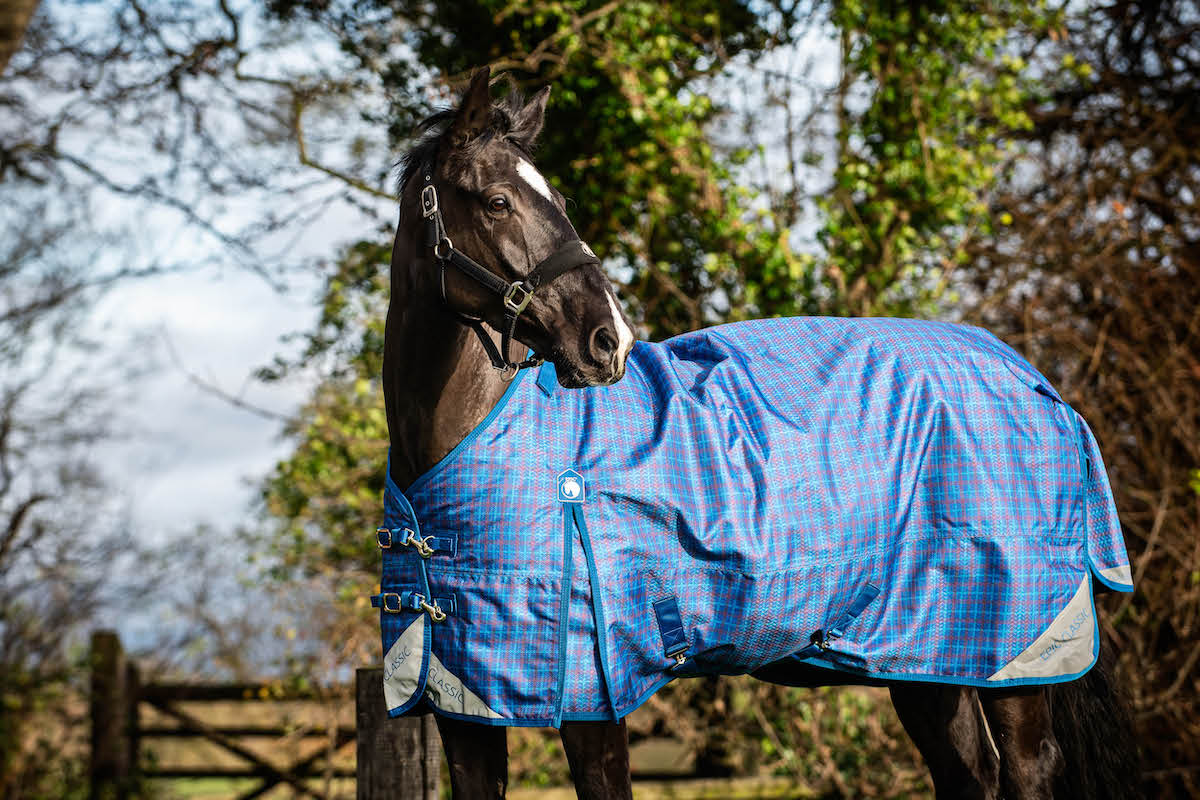 Epic Classic 200g Turnout Rug - Regular Fit